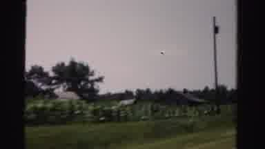 Dade County Florida (1955): Small Farm And Crops As Seen From A Car Quickly