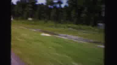 Dade County Florida (1955): Signs Along The Roadway Amongst Trees And Grass As