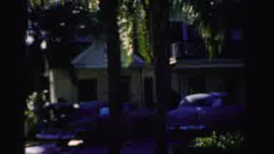 Dade County Florida (1955): A View Of A Neighborhood Houses And Surrounding