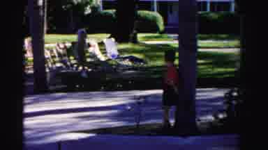 Dade County Florida (1955): Shaded Park Area With Sidewalks And Road In The