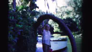 Dade County Florida (1955): The Men Was At Teaching In A Tree Of The Ground