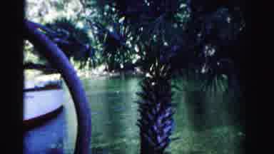 Dade County Florida (1955): A Boat At A Dock On A Lake With Shallow Waters