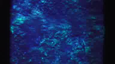 Dade County Florida (1955): Underwater Cave Or Reef Reflecting Blue Green Colors