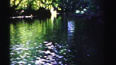 Dade County Florida (1955): Riding Through The Swamps And Water Filled With