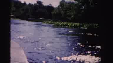 Dade County Florida (1955): Riding Through A River Looking At The Bushes And Logs