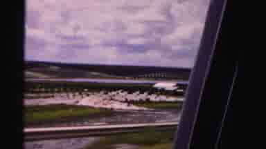 Dade County Florida (1955): Perfectly Planted Rows Of Trees At A Massive Tree Farm