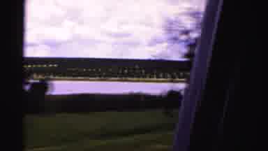 Dade County Florida (1955): The Organization Of These Trees In This Video Are