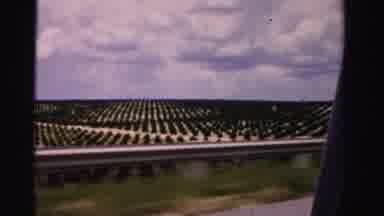 Dade County Florida (1955): Traveling In A Place On The Road So Beautiful