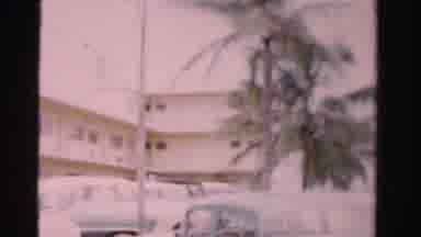 Dade County Florida (1955): View Of White Buildings Palm Trees And Parked Cars On