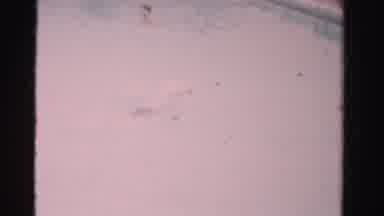 Dade County Florida-1955: Home Movie Footage Showing Swimmer In Pool And Then A