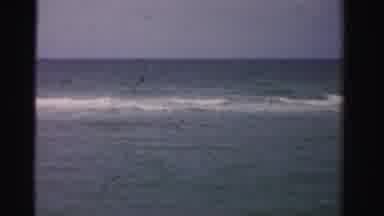 Dade County Florida (1955): People Swimming And Standing In Ocean Near Small Waves