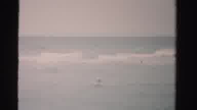 Dade County Florida (1955): A Ruler Swims In The Ocean To See The Beauty Of The