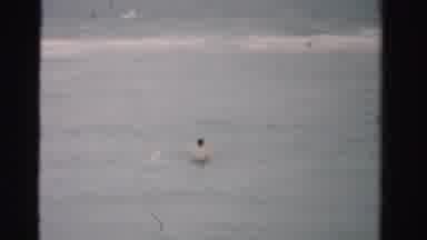 Dade County Florida (1955): Swimming Boy In Waves