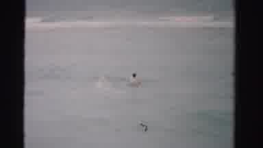 Dade County Florida (1955): Boy And His Companion Brave The Rapids On A Cloudy Day