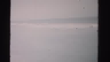 Dade County Florida (1955): Looking At The Waves