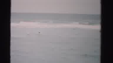 Dade County Florida (1955): Two People Swimming In The Vast Blue Waters Of The