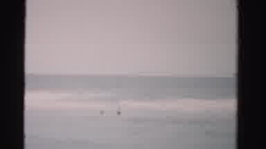Dade County Florida (1955): People Swimming At The Beach On A Summer Day