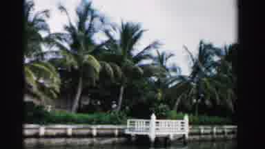 Dade County Florida (1955): Palm Trees With Canals