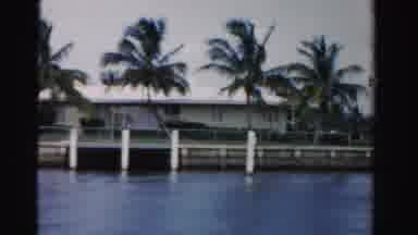 Dade County Florida (1955): Trees Blow In The Wind By A Waterway With Houses By