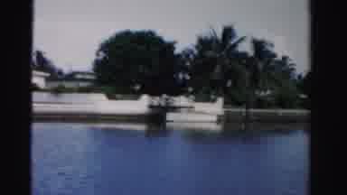 Dade County Florida (1955): So Many Buildings And Trees Are There They Are
