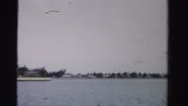 Dade County Florida (1955): Video Of A Waterway On A Beautiful Day In Florida