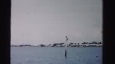 Dade County Florida (1955): Going Down The River Short Old Footage Showing How It