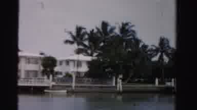 Dade County Florida (1955): Rosadorem Has Beautiful Big Trees With A Great Road