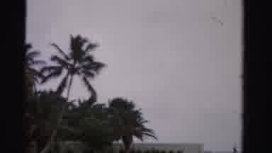 Dade County Florida (1955): Looking At The Sky