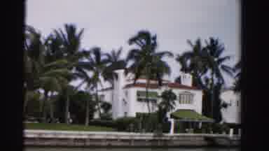 Dade County Florida (1955): The Man Standing In The Grass