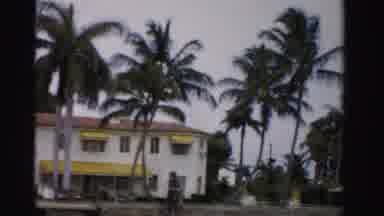 Dade County Florida (1955): View Of Yellow White House With Palm Trees And Cloudy