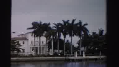 Dade County Florida (1955): There Are Many Palm Trees In The Yard Of The Big