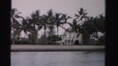 Dade County Florida (1955): View Of White Houses And Palm Trees On A Clear Day