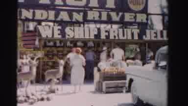 Dade County Florida (1955): Indian River Fruit Stand And Souvenir And Outdoor
