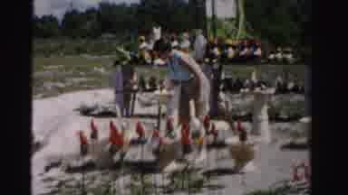 Dade County Florida (1955): Woman Walks Through Roadside Store Selling Many Lawn