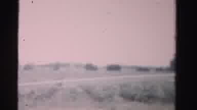 Dade County Florida (1955): Road View With Nature On All Sides And Arrival At A