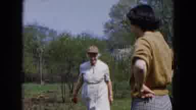 Hicksville New York (1955): Woman Picks Fruit In Her Orchard Accompanied By Her
