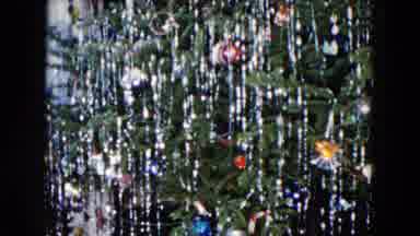 Hicksville New York (1955): Decorated Tree Ready For The Holiday