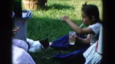 Hicksville New York (1955): Picnics Summer Time Iced Tea Cats