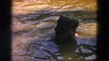 Hicksville New York (1955): The Little Girl Wet In The Lake Water They Enjoy