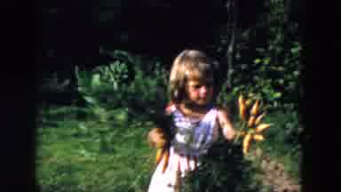 Hicksville New York (1955): Young Girl In Pretty Dress Brings In Harvested Carrots