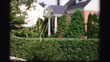 Albany New York (1955): The Plants And Trees Around The House Look Like An