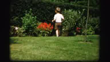 Albany New York (1955): A Little Boy Pick The Flower In The Garden And Running
