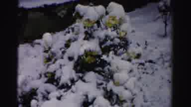 Albany New York (1955): External View After Snowfall That Covered The Entire