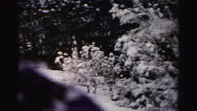 ALBANY NEW YORK-1955: Camera Captures Snow Covered Bushes and Winter Yard