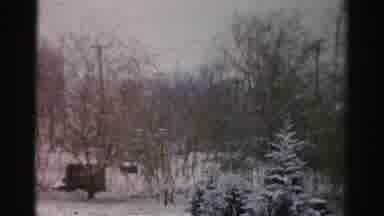 Albany New York (1955): Woman On Back Porch Of A Home In The Woods In Winter Time