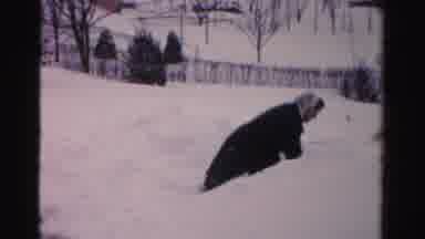 Albany New York (1955): Woman With A Snow Shovel From The Door Of Her Residence On