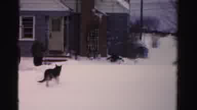 ALBANY NEW YORK-1955: Two Adults Shoveling Snow in Front Yard with Dog