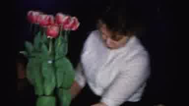 Albany New York (1955): Three Women Sit And Chat While One Women Arranges Flowers