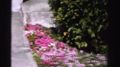Albany New York (1955): The Premises Of A Building With Garden And Meadows On A