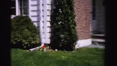 Albany New York (1955): Shrubs And Trees In The Yard Of A Brick And White Home